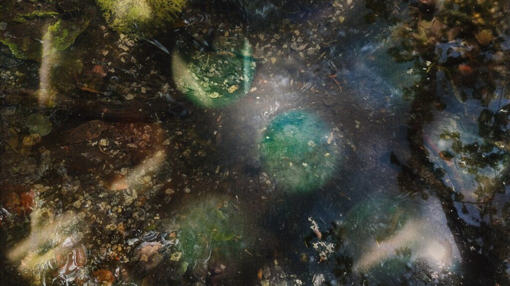 Green-House: A Host for All Kinds of Life Album Review