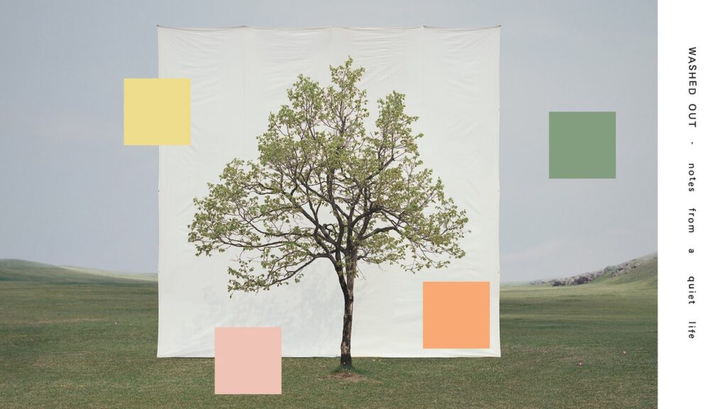 Washed Out: Notes From a Quiet Life Album Review