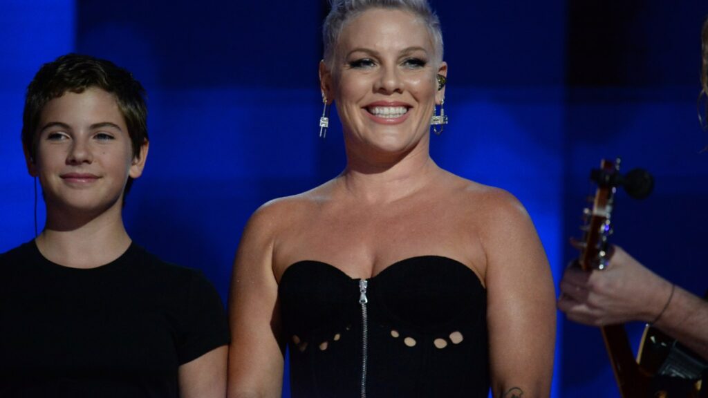 Pink Goes Behind-the-Scenes of DNC Performance With Daughter Willow