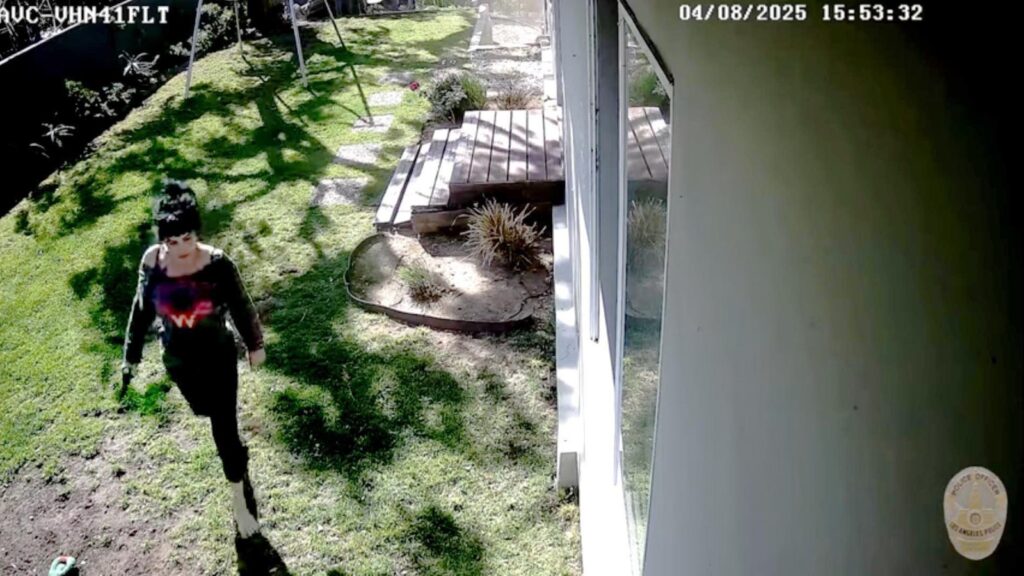 Weezer Bassist Wife Seen Holding Gun in LapD Video