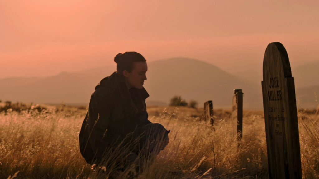 The Quiet After the Storm