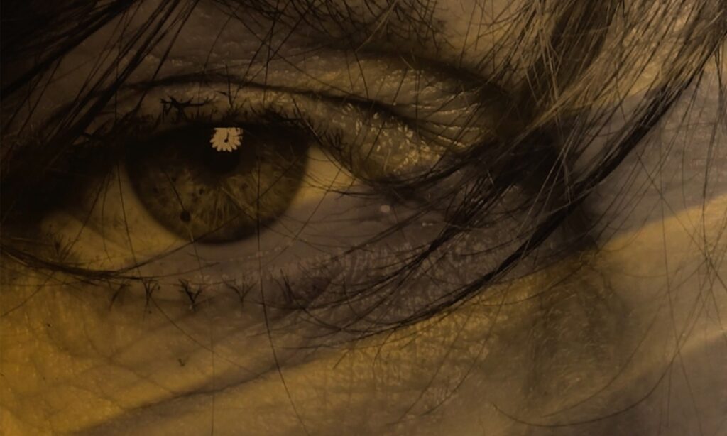 Text and meaning of the individual