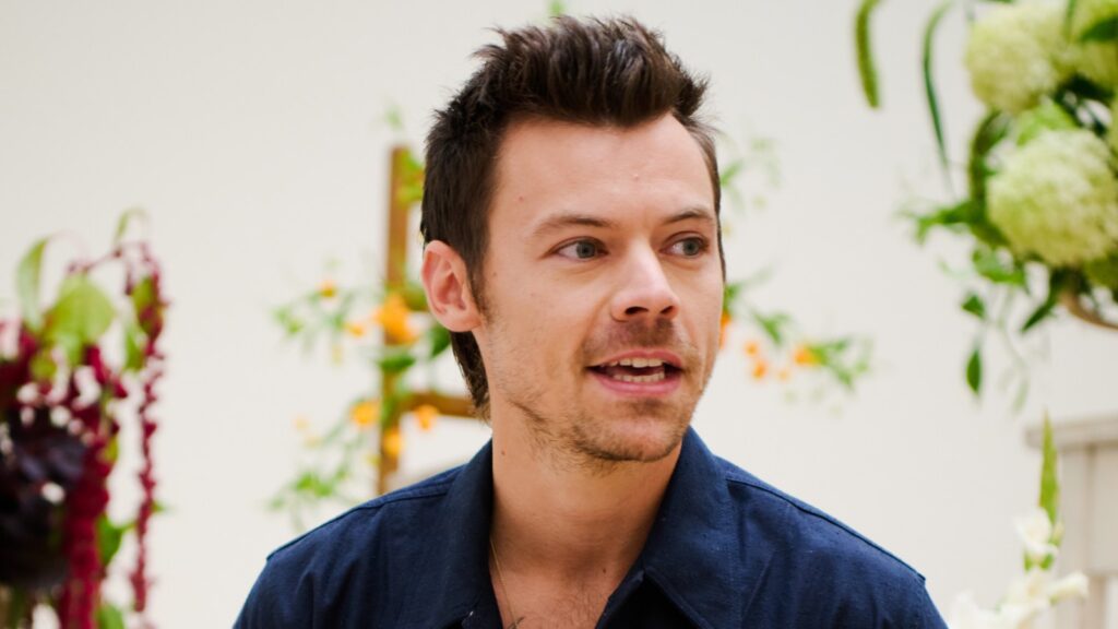 Harry Styles Attends Pope Announcement in Vatican City: Fans React