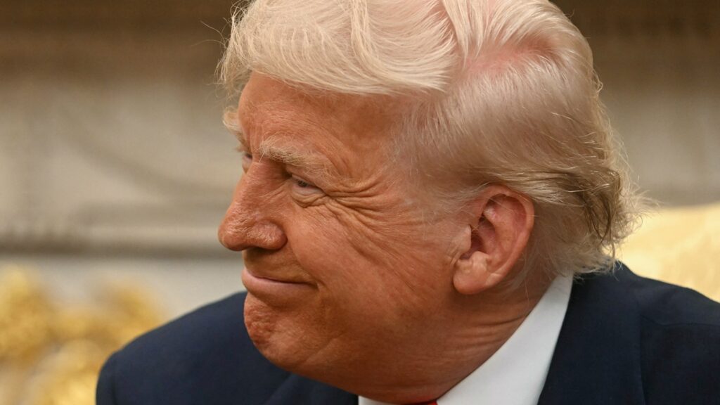 Trump Meme Coin's Top Buyers Are Likely Foreign: Report