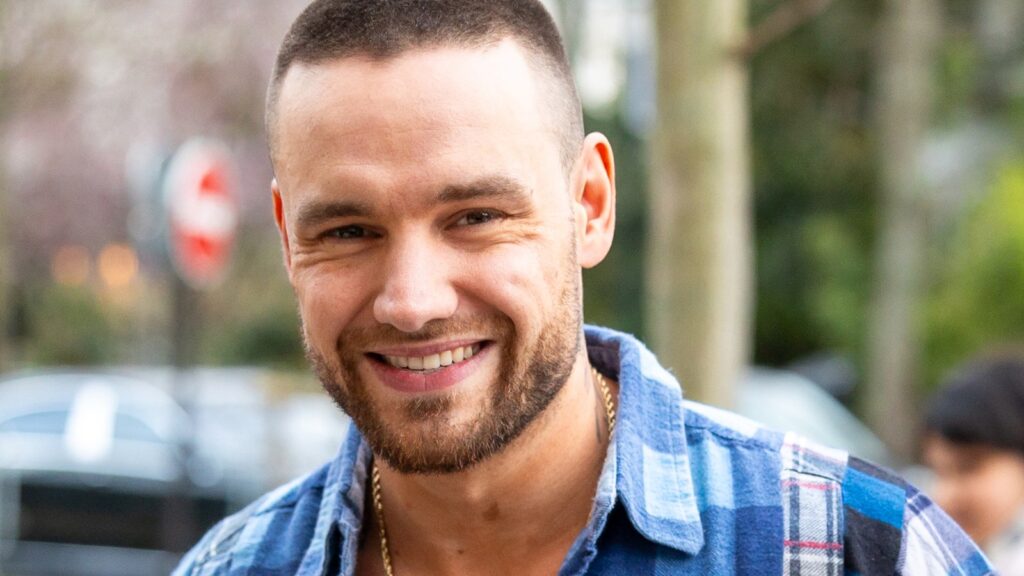 Netflix's 'Building The Band' Will Premiere In July with Liam Payne