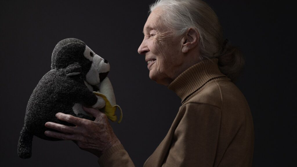 Jane Goodall Final Years Documentary Set From Director Richard Ladkani