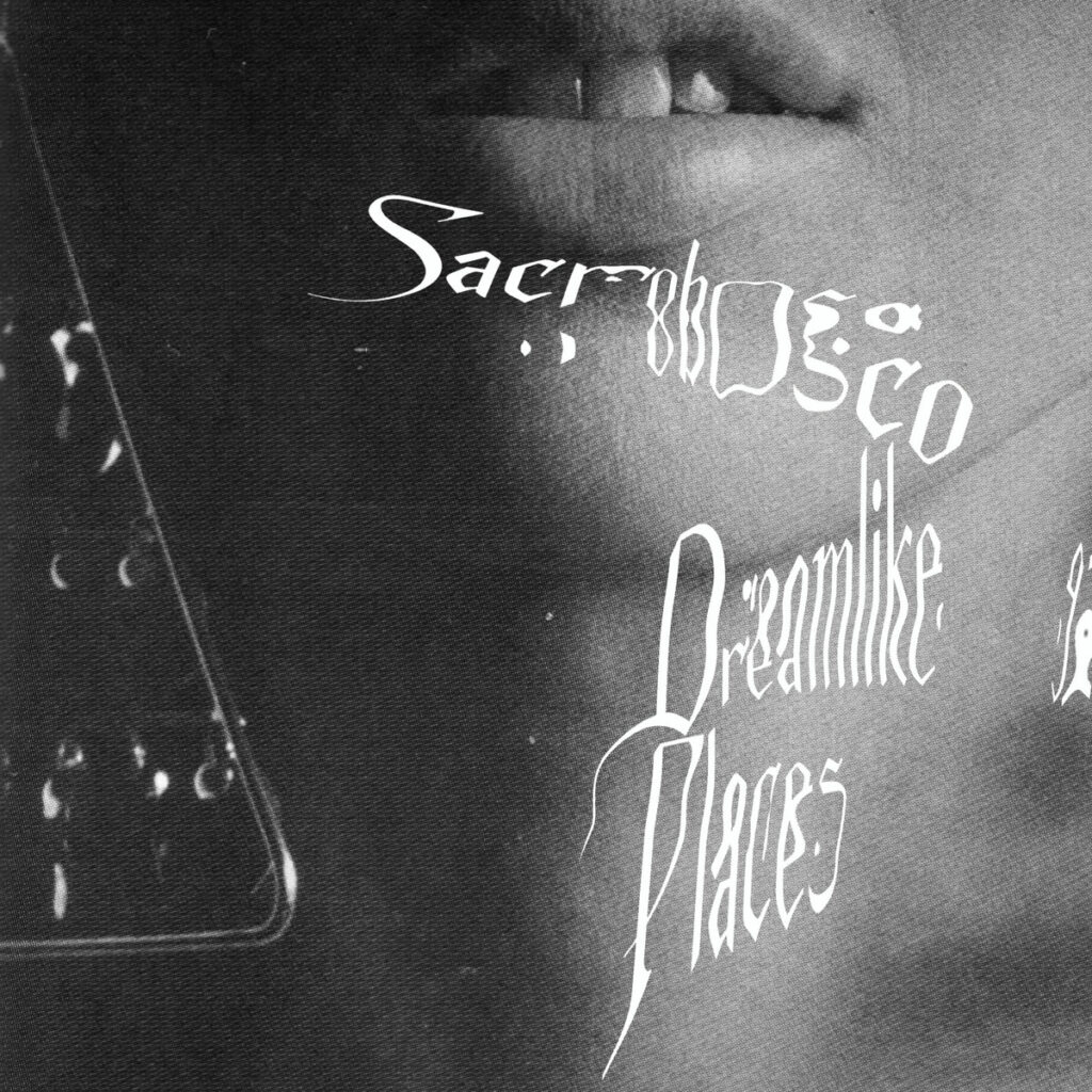 Dreamlike Places: But do producers dream of synthetic landscapes? :: OndaRock Reviews