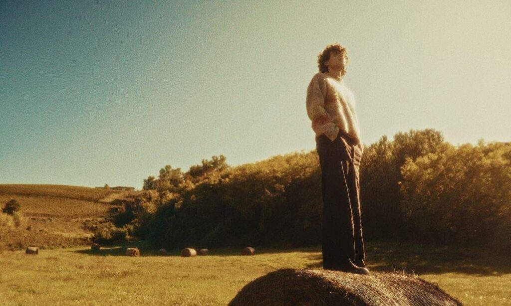 Fellow, “kite”: lyrics and meaning of the song