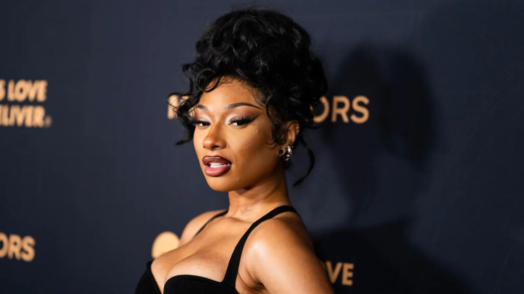 Megan Thee Stallion Defamation Judgment Reinstated Against Blogger