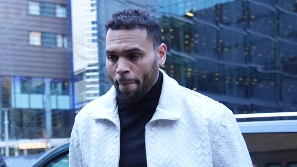 Chris Brown Testifies at Dog Mauling Trial: 'It Was A Lot of Blood'