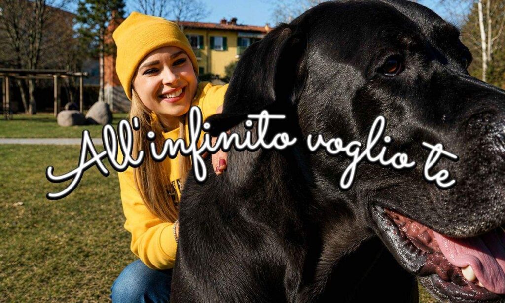 Francesco Serra and ENPA: the single “All 'infinity I want you” is out