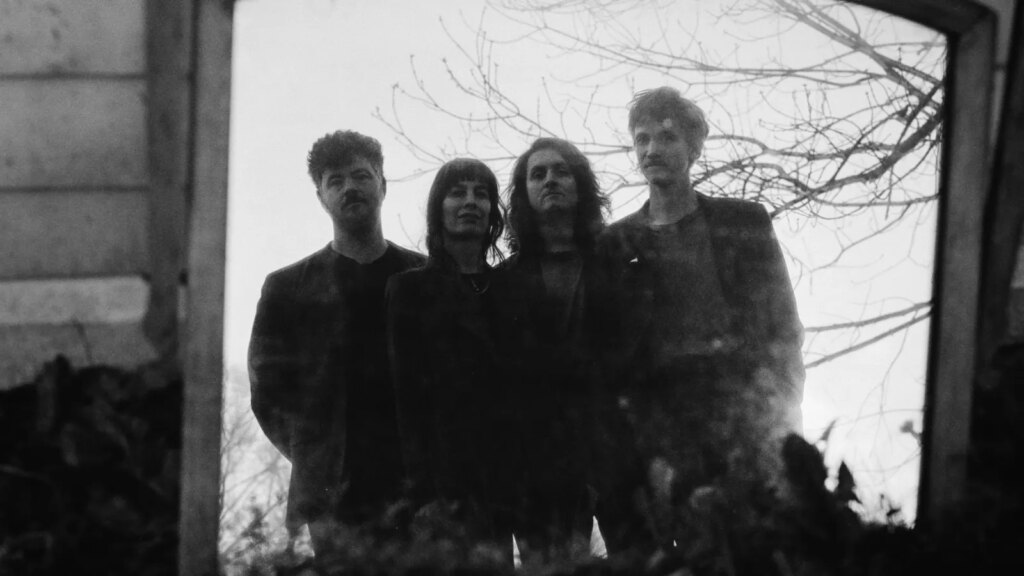 Felice Brothers Tribute Album to Feature Lumineers, Bright Eyes