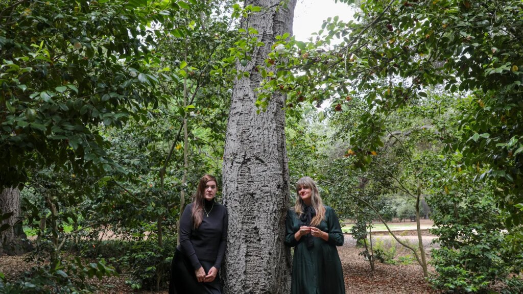 Julianna Barwick and Mary Lattimore Share Songs From New Film Score