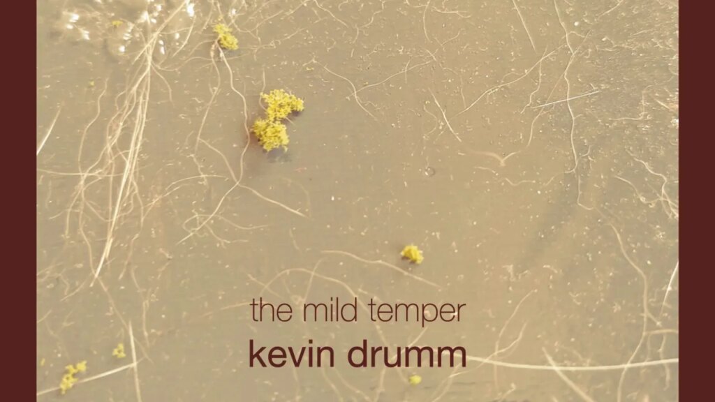 Kevin Drumm: The Mild Temper Album Review