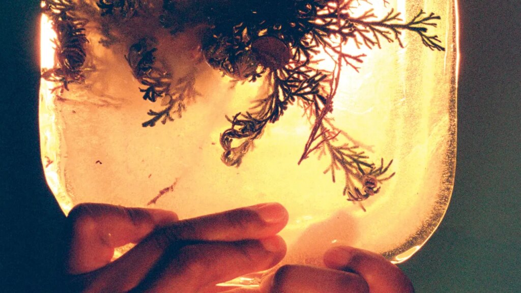L’Rain: fata morgana Album Review