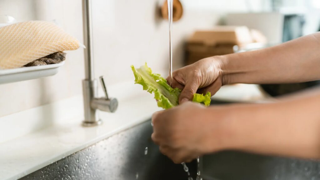 Cyclosporiasis Treatment & Prevention: Best Produce Wash, Electrolytes