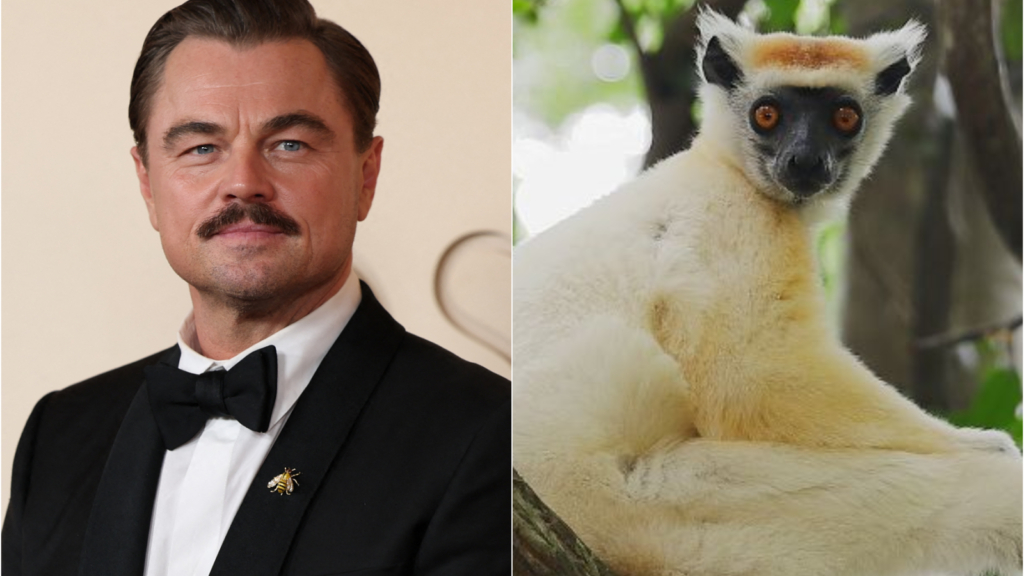 Leonardo DiCaprio, Bezos Earth Launch Endangered Species Initiative