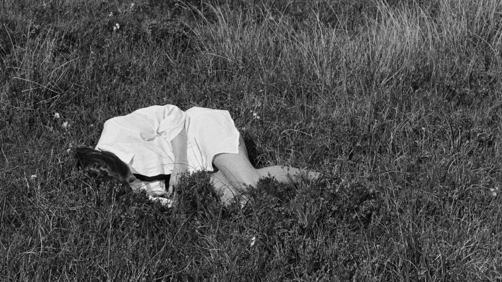 Nina Winder-Lind: Wild Love Album Review