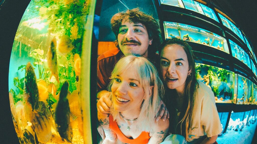 Being Dead Sign to Polyvinyl, Plan to “Take Over the World”