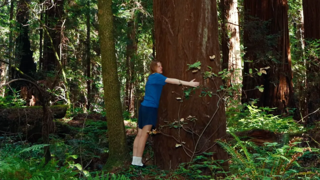Watch Audrey Hobert Talk to a Redwood Tree in New “Phoebe” Video