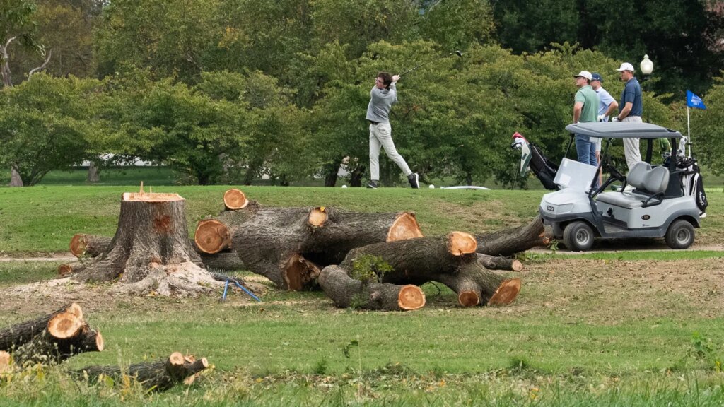 Judge Tears Into Trump Admin. for Cutting Down Trees in D.C.